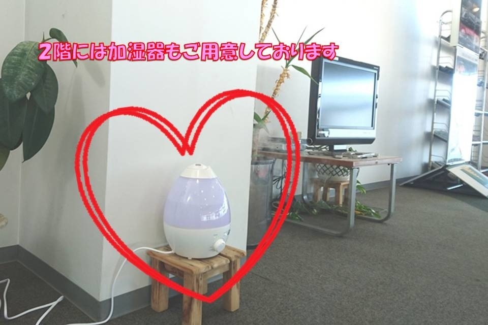 N高石 内装