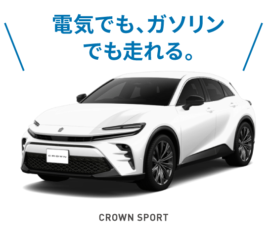 クラウンスポーツ