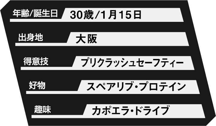 プリクラッシュセーフティー プロフィール