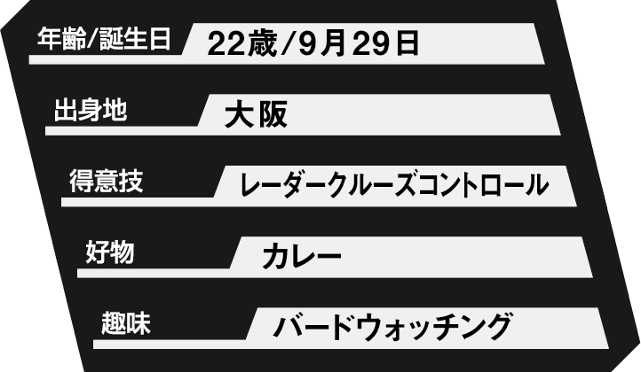 レーダークルーズコントロール プロフィール
